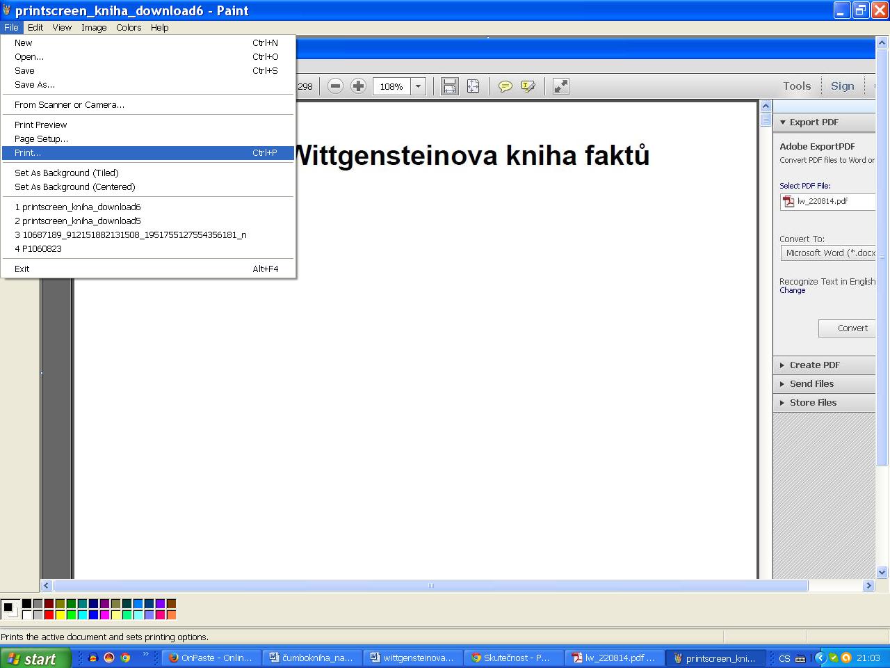 13 printscreen_kniha_download7